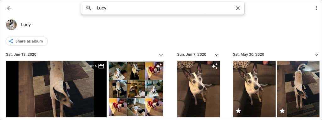 10-SearchNameFace-Web - Online Tech Tips How to Add Known Faces to Google Photos for Easy Searching image 11