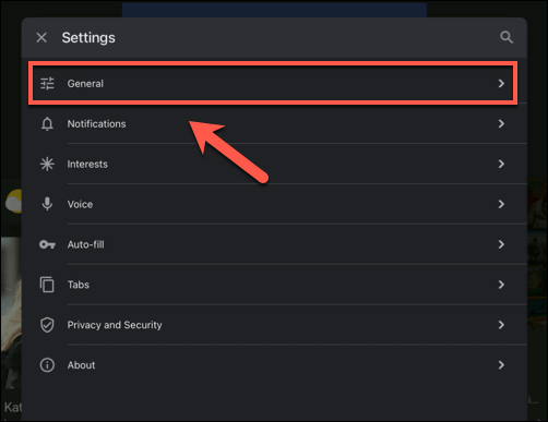 17-Google-App-iPad-General-Settings-Option - Online Tech Tips How to Turn Google SafeSearch Off image 17