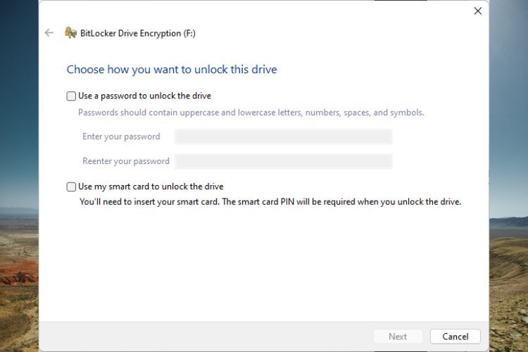 BItLocker Window asking how the user wants to unlock the drive that's about to be encrypted.