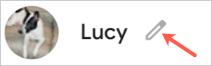 8-EditName-Web - Online Tech Tips How to Add Known Faces to Google Photos for Easy Searching image 9